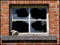 Property Damage